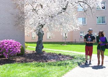 布法罗大学的学生在校园里散步