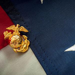 美国海军陆战队在美国国旗上别针